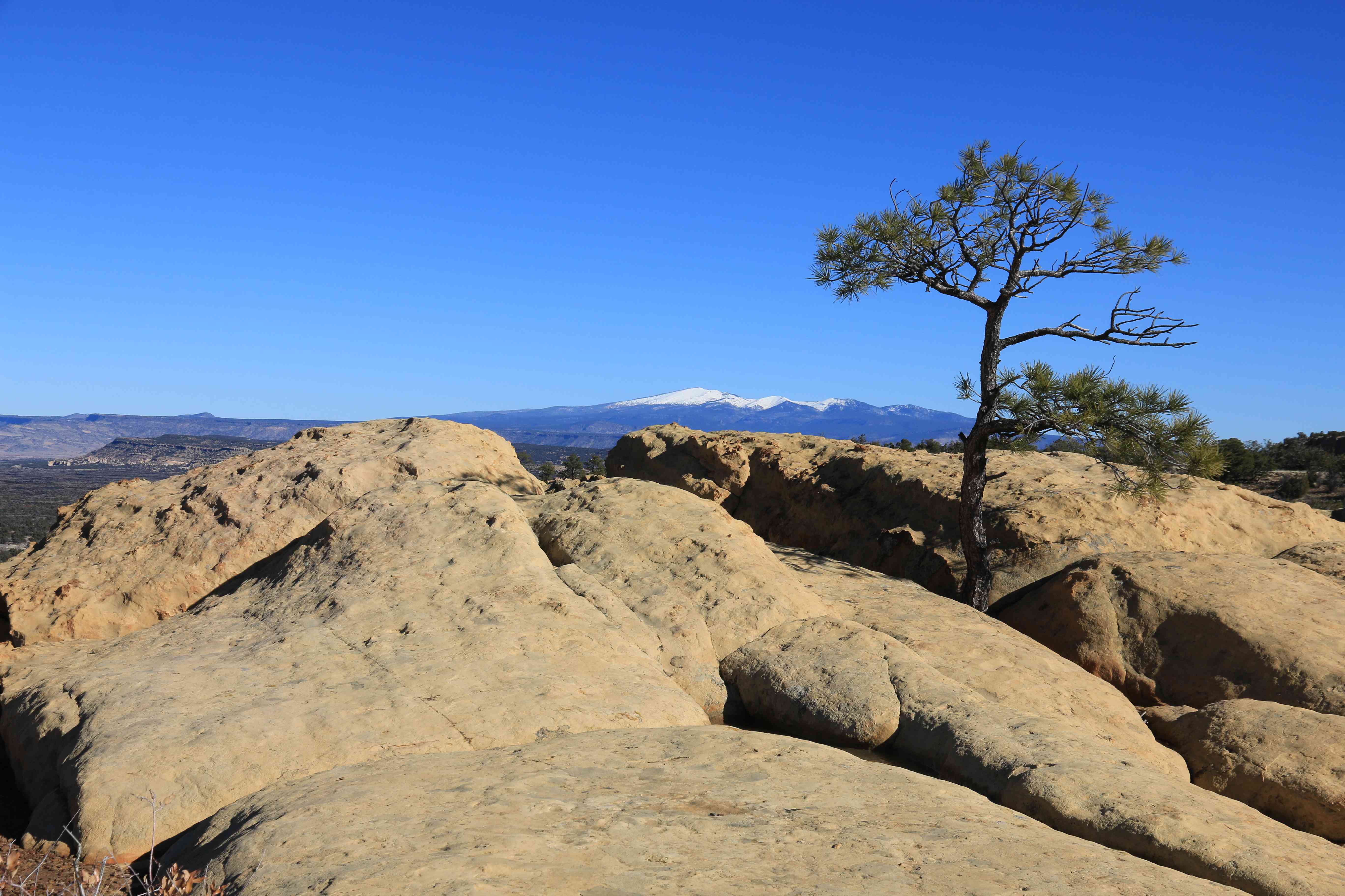 El Malpais NM